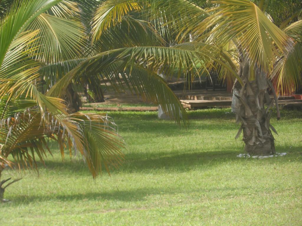 Legacy Tribe Beach Resort Prampram Luaran gambar